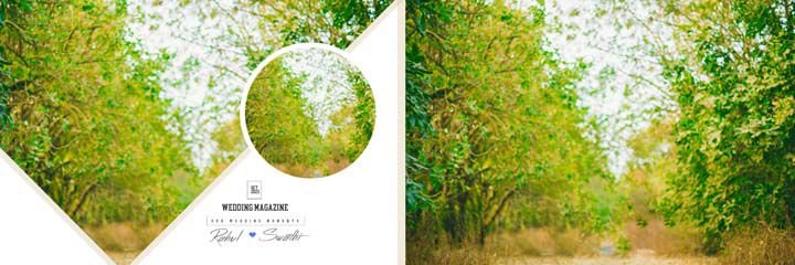 Karizma Album Design 12x36 Psd Wedding Background Free Download 2023 Vol 37