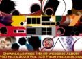 Download free 14x40 wedding album PSD files 2023 Vol 105