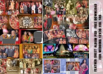 Feather Sheet Album PSD Free Download for Wedding 12x36 Vol 146