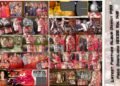 Latest Feather Album Design PSD Free Download 12X36 Vol 148