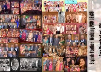 Stylish Feather Wedding PSD 12x36 Free Download vol 164