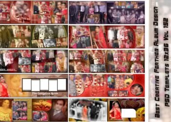 Best Creative Feather Album Design PSD Templets 12x36 Vol 152