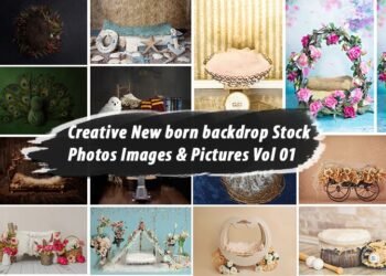 Creative New born backdrop Stock Photos Images & Pictures Vol 01