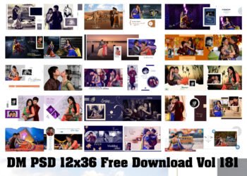 DM PSD 12x36 Free Download Vol 181
