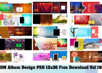 DM Album Design PSD 12x36 Free Download Vol 189