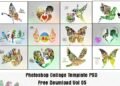 Photoshop Collage Template PSD Free Download Vol 05
