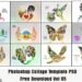 Photoshop Collage Template PSD Free Download Vol 05