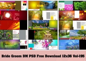 Bride Groom DM PSD Free Download 12x36 Vol-195