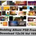 Wedding Album PSD Free Download 12x36 Vol 169