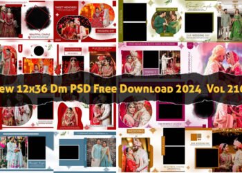New 12x36 Dm PSD Free Download 2024 Vol 216