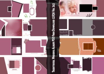 Traditional Wedding Album PSD Free Download 12X36 Vol 245